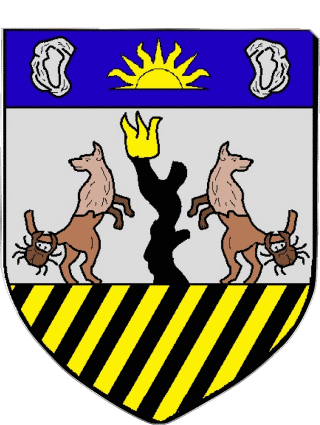 Wappen-Wappen MONTSINERY TONNEGRANDE 973 Abteilungen - Städte Frankreich Fahnen 