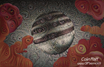 Colin Raff GIF Artista Humor - Fun 