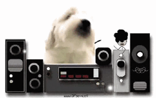 01 Perros Animales Humor - Fun 