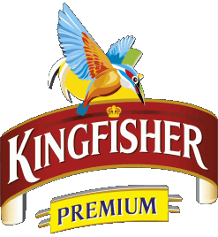 Kingfisher Indien Bier Getränke 