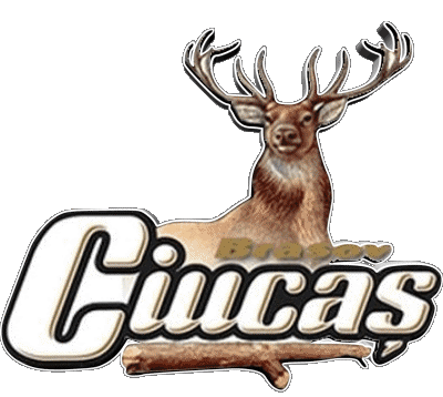 Ciucas Romania Birre Bevande 