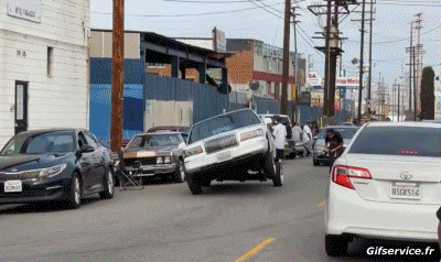 Lowriding Autos Transport Humor -  Fun 