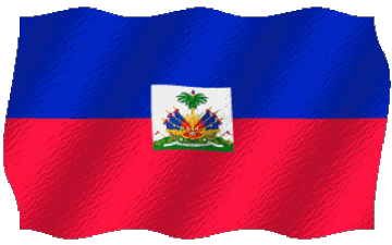 Waving Haiti America Flags 