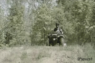 Fun - Win Quad Transporte Humor - Fun 