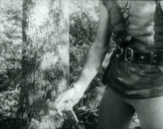 Thierry la fronde Fernsehserie Frankreich Multimedia 