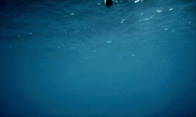 Chanel Couture - Perfume Fashion 