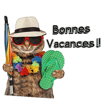 30 Transparent Background Bonnes Vacances French Messages 
