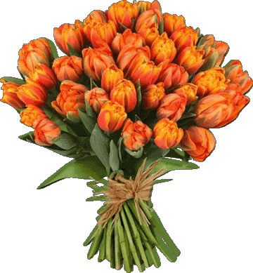 012 Fondo transparente Floral Happy Birthday Inglés Mensajes 