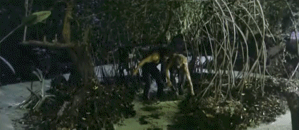 Video First blood PART 2 Rambo Movies International Multi Media 