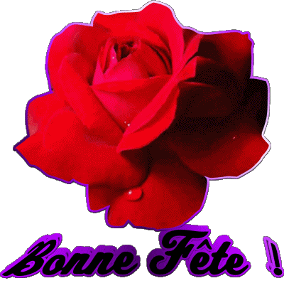 01 Bonne Fête French Messages 