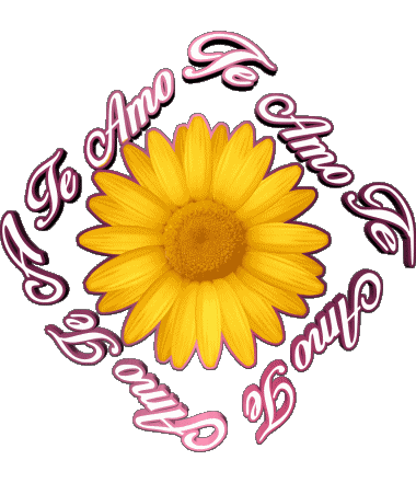 02 Te Amo Spagnolo Messagi 