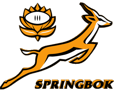 Springbok logo-Springbok logo Africa del Sur África Rugby - Equipos nacionales  - Ligas - Federación Deportes 