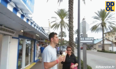 Möwen Geflügel Tiere Humor -  Fun 