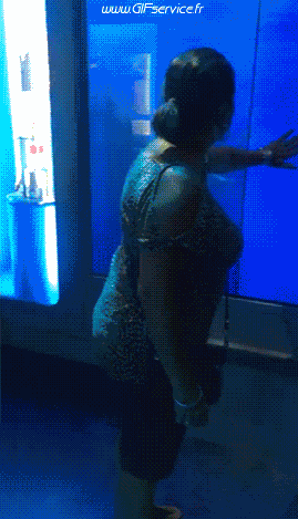 01 Tiburones Animales Humor - Fun 