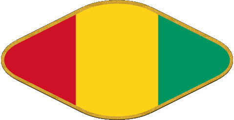 Oval 02 Guinea África Banderas 