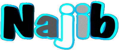 Najib N MASCULINO - Magreb Musulmán Nombre 