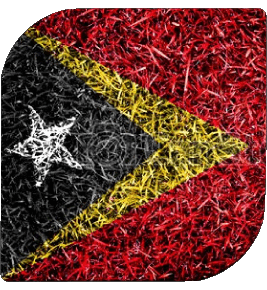 Square East Timor Asia Flags 