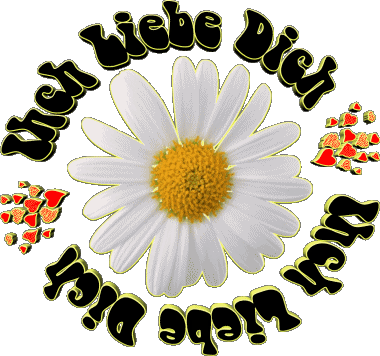 04 Ich Liebe Dich Allemand Messages 