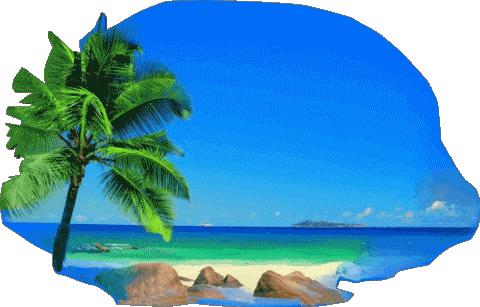 17 Transparent Background Felices Vacaciones Spanish Messages 