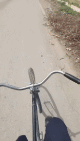 Fun Win Ciclismo - Bicicleta Deportes Humor - Fun 