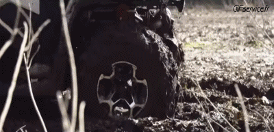 Fun - Win Quad Transporte Humor - Fun 