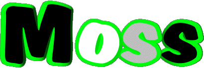 Moss M MANN - UK - USA - IRL - AUS - NZ Vorname 