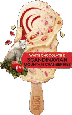 Nuii Ice cream Food 