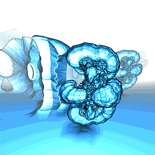 Connor Bell GIF Artista Humor - Fun 