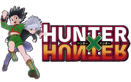 Hunter X Hunter Manga Multimedia 