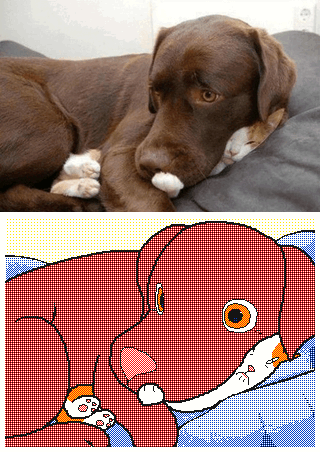 Kekeflipnote GIF Artista Umorismo -  Fun 