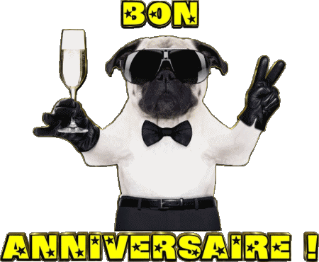 001 Animaux Bon Anniversaire Francese Messagi 