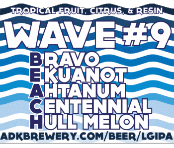 Wave #9-Wave #9 Adirondack USA Birre Bevande 