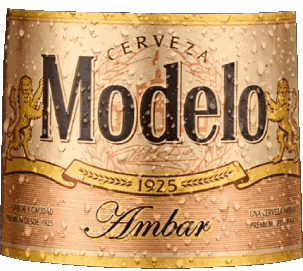 Modelo Mexiko Bier Getränke 