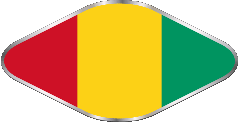 Oval 02 Guinea Afrika Fahnen 