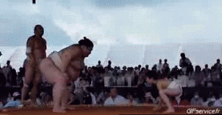 Sumo Sport Humor -  Fun 