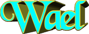 Wael W MASCULIN - Maghreb Musulman Prénoms 