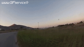 Verschieden Geflügel Tiere Humor -  Fun 