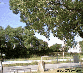 Stéreoscopique Wiggle Efectos 3d Humor - Fun 