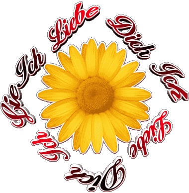 02 Ich Liebe Dich German Messages 