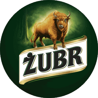 Zubr Polen Bier Getränke 