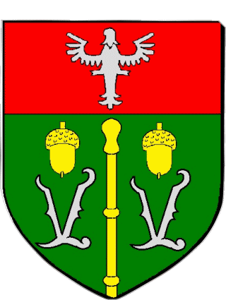 Wappen-Wappen VANDOEUVRE LES NANCY 54 Abteilungen - Städte Frankreich Fahnen 