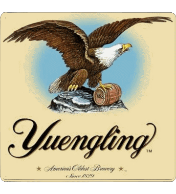 Yuengling USA Bier Getränke 