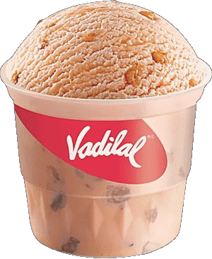 Vadilal Ice cream Food 