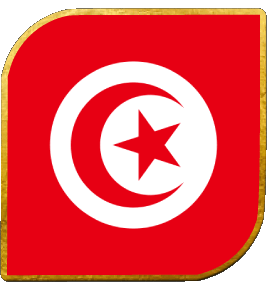 Carré Tunisie Afrique Drapeaux 