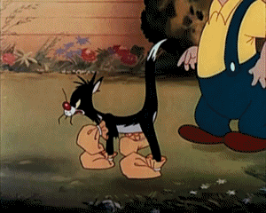 The Cat That Hated People Tex Avery Cartoons TV Filme Multimedia 