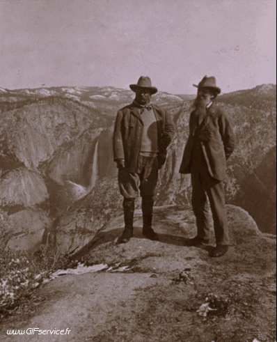 Stéreoscopique Wiggle 3D Effets Humour - Fun 