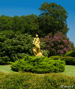 Stéreoscopique Wiggle Effetti 3d Umorismo -  Fun 