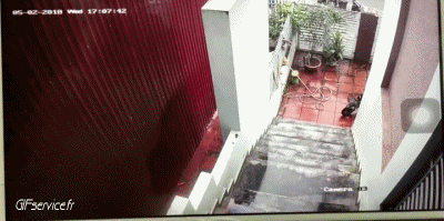 Fail At work PEOPLE Humor -  Fun 