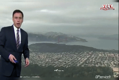 Various 02 Birds Animals Humor -  Fun 