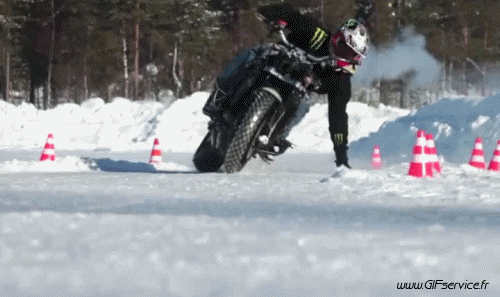 Freestyle Fun Win Motorräder Transport Humor -  Fun 